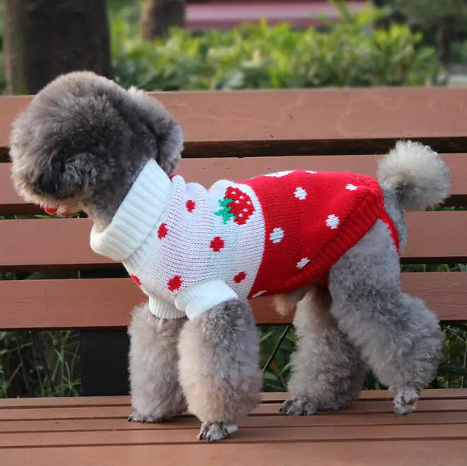 Chic Pet Knitwear