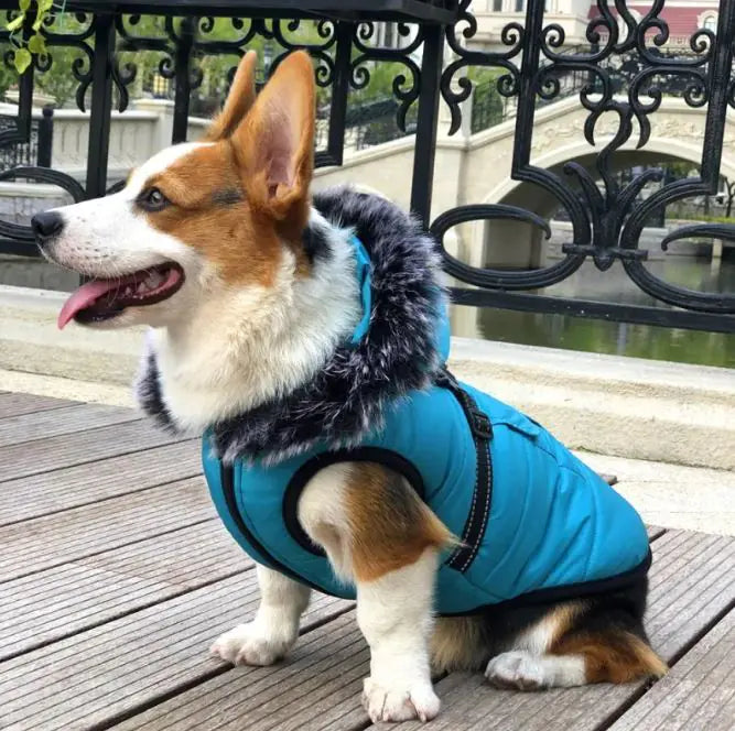 Cozy Fur-Collared Pet Winter Vest