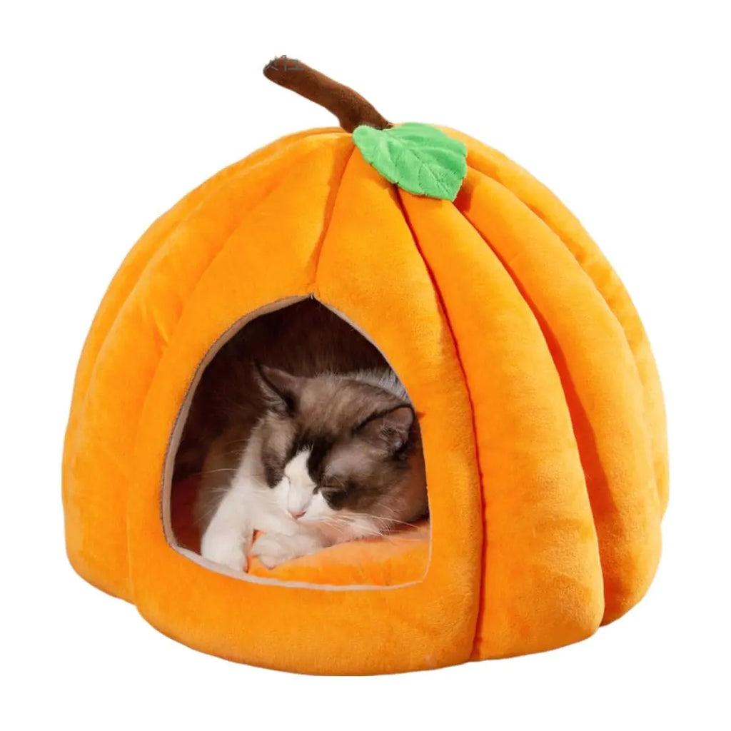 Pumpkin Cat House